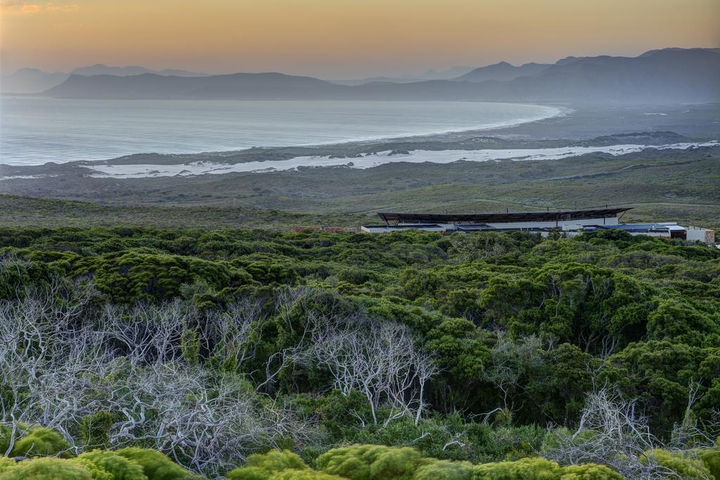 Grootbos Private Nature Reserve Gansbaai Esterno foto