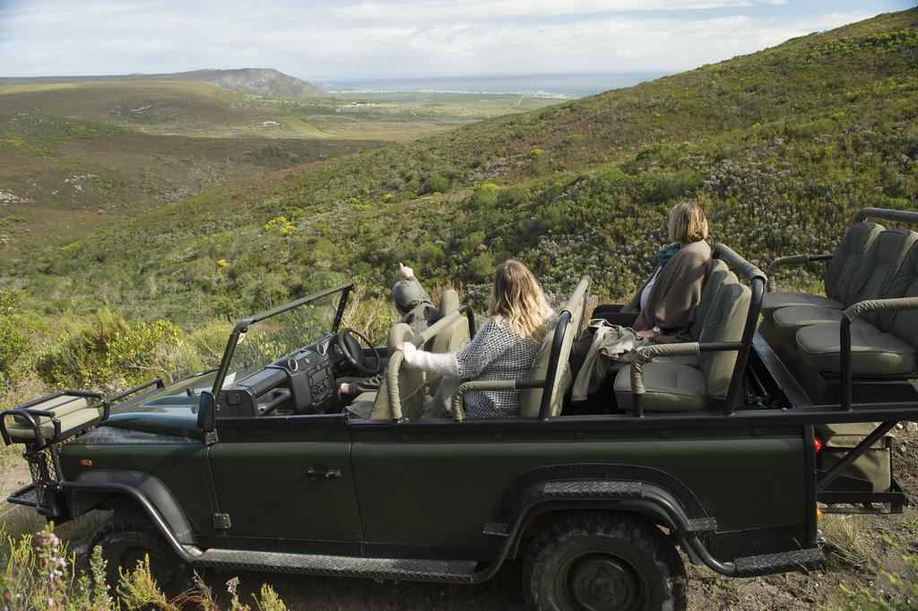 Grootbos Private Nature Reserve Gansbaai Esterno foto